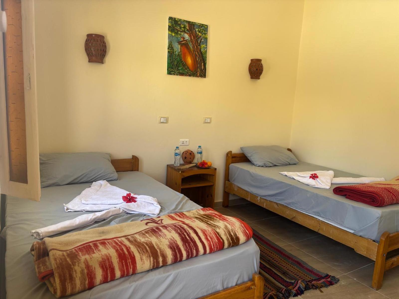 Beir El Gabal Hotel Qasr Dakhl エクステリア 写真
